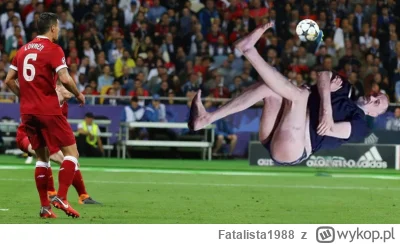 Fatalista1988 - #danielmagical #patostreamy #raszei #chlopakizraszei