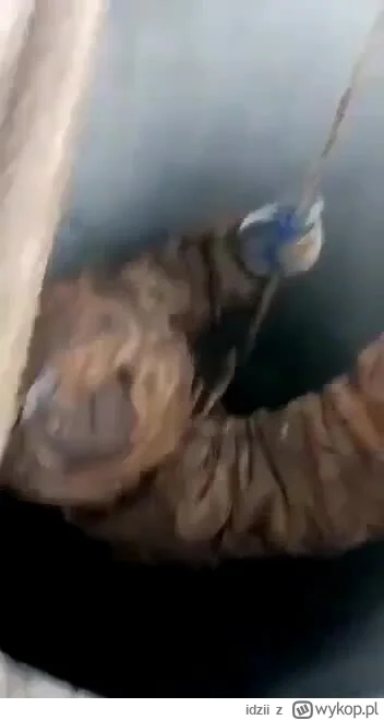 idzii - głęboka studnia