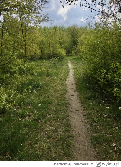 bartlomiejrakowski - @JanMaj Ooo właśnie!