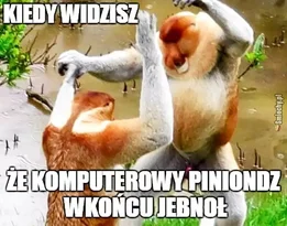 CheekiBreekiBandito - Gaben pozamiatał pikselowe scyzoryki 
Będzie srogie drapanie Ch...