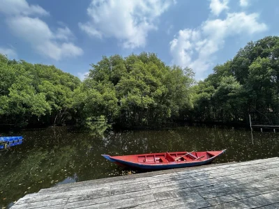 Nusantara - Tropikalny #spierdotrip w las namorzynowy na północ od Dżakarty. Jest to ...