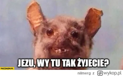 nilmerg - @EarpMIToR: właśnie widzieli i dlatego się nawet nie zatrzymali..