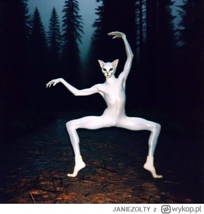 JANIEZOLTY - #aikitku