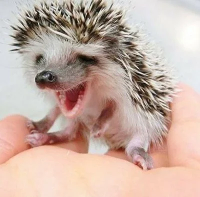 wfyokyga - EEEEEEEEEEEEEAAEEEEEEEE