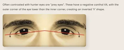 kingcel - @ubojniakonigryfice: no nie wiem czy taki uber