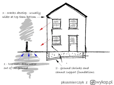 pkusmierczyk - > Dlatego to wszystko pęka i się rozchodzi na boki na skutek wstrząsów...