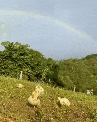 Drom - Zaczyna się, nadciągają.