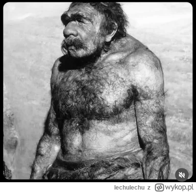 lechulechu - Urrrwaa jadę do knura z działem i rozwalę tę jego chatę całą. Nie powiem...
