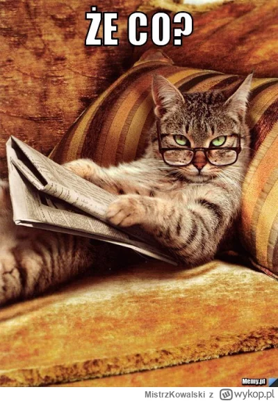 MistrzKowalski - >Obecnie moderacja treści odbywa się w oparciu o zgłoszenia użytkown...