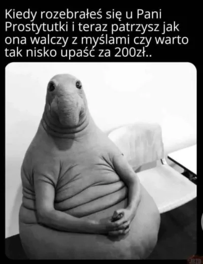 69AMG - #przegryw #przegrywpo30tce #samotność #divyzwykopem 

XDD