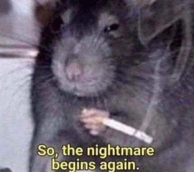 m-mmmm_marysia - #gielda