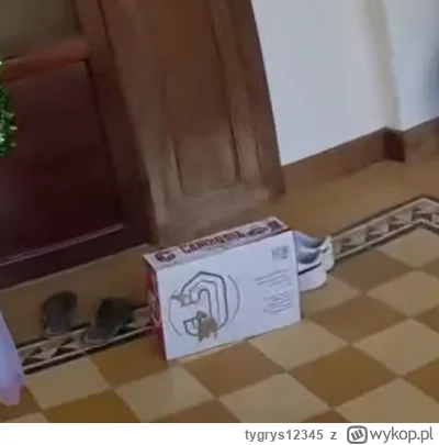 tygrys12345 - #raportzpanstwasrodka Są i grzybki odpowiedzialne za zatrucie.