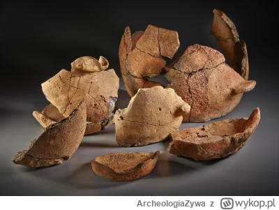 ArcheologiaZywa - Odkryto najstarsze miejsce produkcji lokalnej ceramiki na Półwyspie...