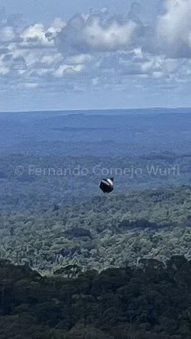 Gymasturbator - #ufo #uap #uk W Amazonii również zaobserwowali "Kuliste UFO"  do czeg...