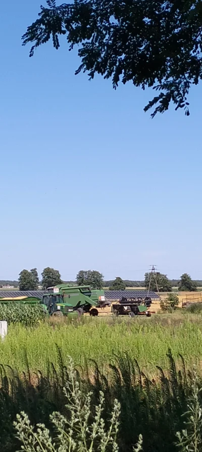 czteroch - Podobno im bardziej zielony tym lepszy.
#kombajnboners