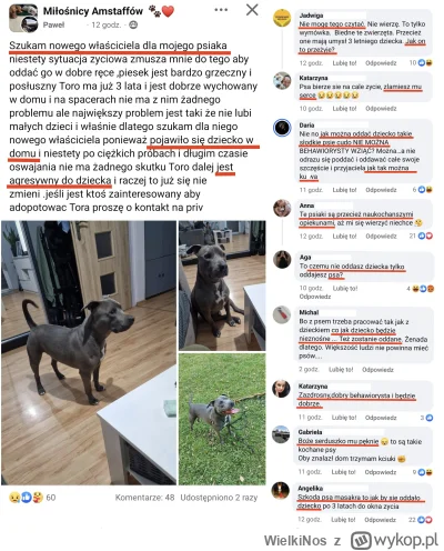 WielkiNos - Właściciel agresywnego amstaffa, który zagraża życiu i zdrowiu dziecka gd...