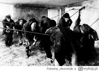 Fekalny_okuratnik - @Filippa: Libki w komentarzach już zrobiły zesrańsko xD problemem...