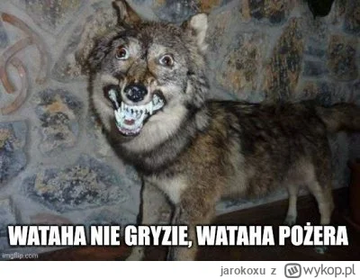 jarokoxu - #famemma pieski wszystko łykają