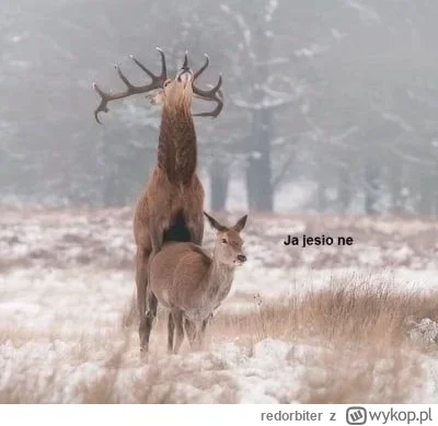 redorbiter - @Mega_Smieszek: