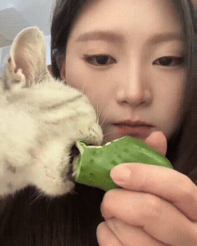 jestemtakizmeczony - sobotnie #smiesznekotki 🧵
SPOILER