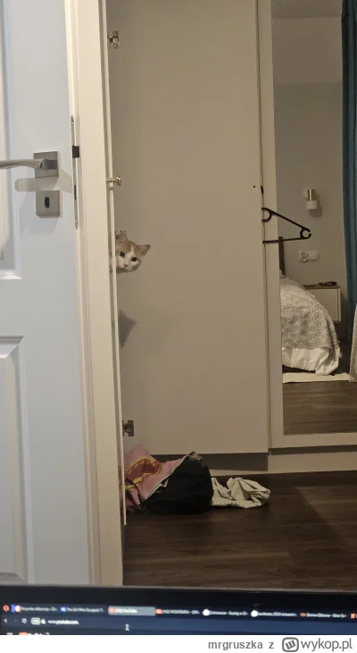 mrgruszka - @CzlowiekMagnetowid knuły, zgadza się