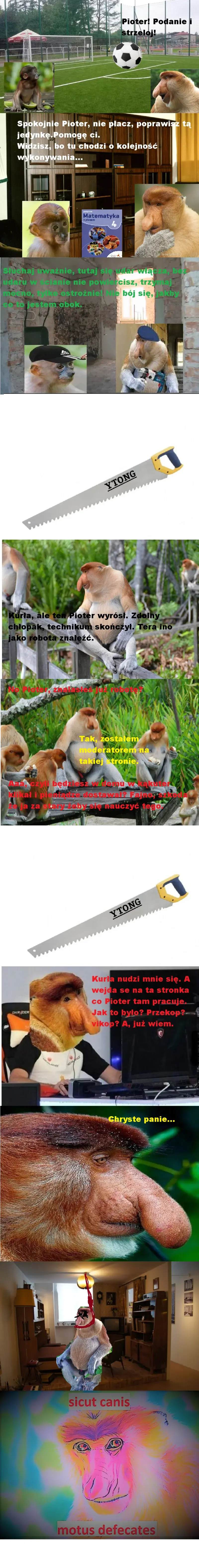 Bialkowoz - #konkursnanajbardziejgownianymemznosaczem