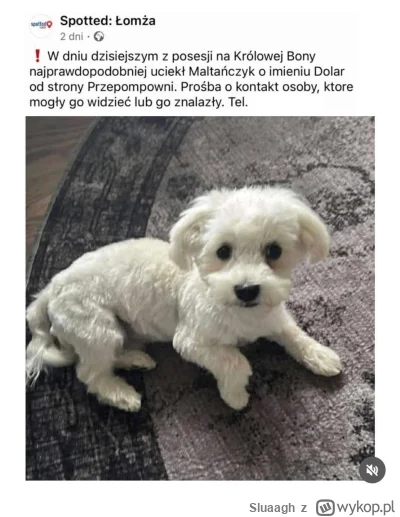 Sluaagh - Coraz dziwniejsze te imiona wymyślają 
#heheszki 
#psiarze