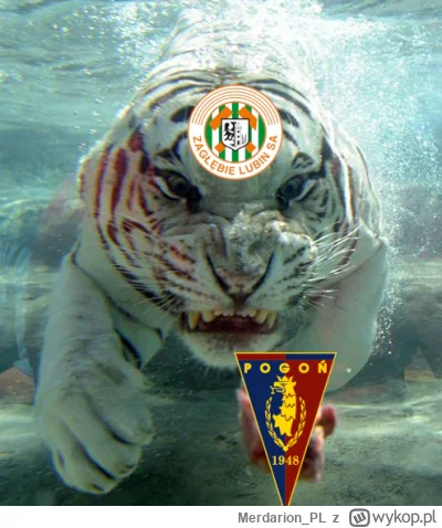 Merdarion_PL - 26 bramka, co wy robicie? CHCECIE JECHAĆ PO EUROPIE? #mecz #dolnoslask...