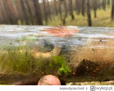 zepsutyzachod - @zepsutyzachod