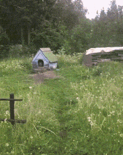 wfyokyga - Piesiu z kolegom lub koleżankom