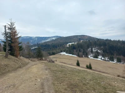 WR9100 - Widok z Hali Boraczej na Halę Cukiernica i Redykalny Wierch