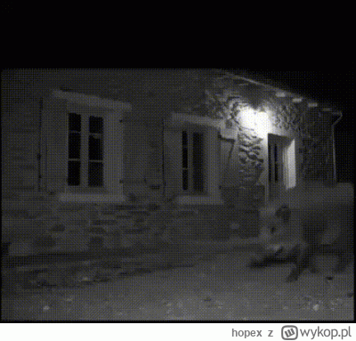 hopex - @syn-bogdana:
