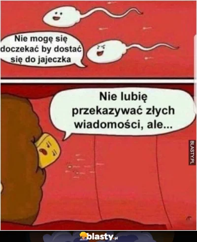 Sonny86 - @CipakKrulRzycia