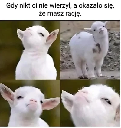 Marple - #heheszki #humorobrazkowy