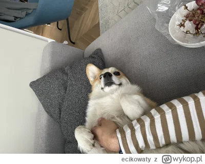 ecikowaty - @Snusmumriken_: być może xD