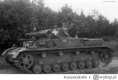 Kskskkdkdkk - W 39 Niemcy używali takich oznaczeń. Później, na krawędziach doszedł cz...