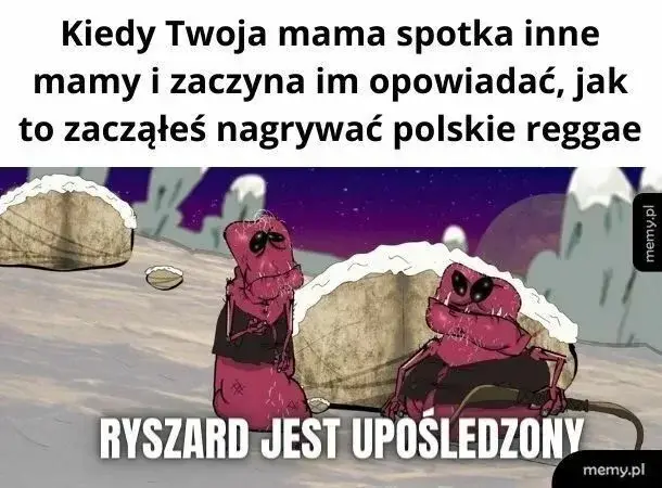 bajo18 - @wujek_mikazjusz: