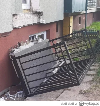 dudi-dudi - Zgłaszać do dewelopera czy zategować to samemu na mamuta?
#patodeweloperk...