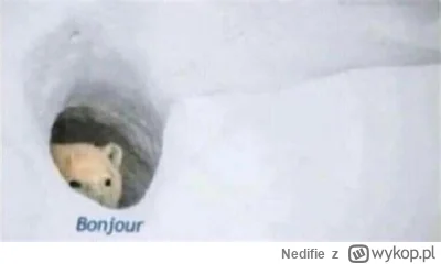 Nedifie - @annlupin: