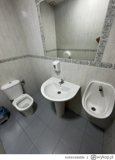 notavailable - Toaleta do oceny. To cud, że udało mi się zmieścić pisuar, WC i zlew. ...