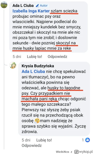 WielkiNos - Baba sobie szła i nagle podbiegł do niej kundel rasy husky i ugryzł. Wedł...