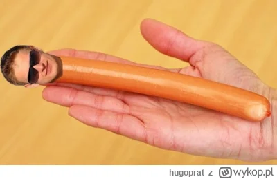 hugoprat - Mirek pomocy zamieniłem się w parówę!

#wykop #orlen #afera #bekazpisu #mo...