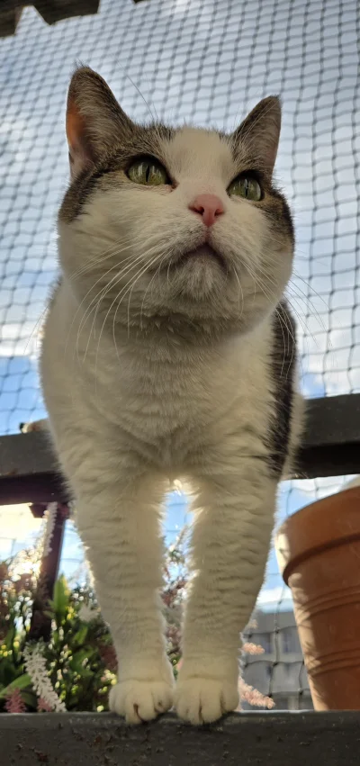 Solsith - @Zmorka: robione na szybko telefonem gdzie nigdy nie grzebałem przy aparaci...