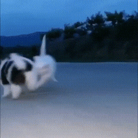 wfyokyga - Malutkie pierdziuszki bobo