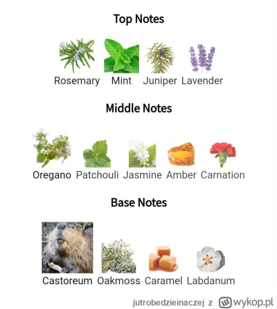 jutrobedzieinaczej - @jutrobedzieinaczej