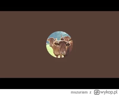 mszuriam - A któż To?? XD
LIVE:
https://www.youtube.com/watch?v=0kAemzdCzDU
#barney...