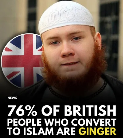 Mega_Smieszek - Gnije 

#uk #heheszki #emigracja