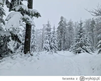 faramka - Śniegu jakby mniej niż na nizinie w mieście ( ͡º ͜ʖ͡º)