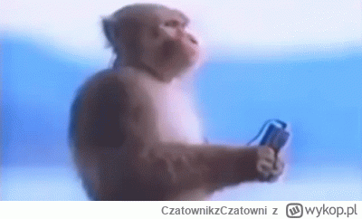 CzatownikzCzatowni - @TEDMAJER: