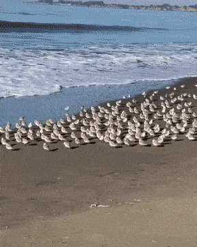 wfyokyga - S---------y